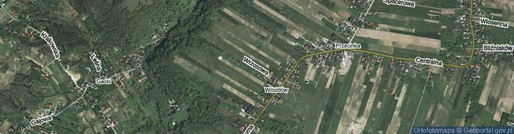 Zdjęcie satelitarne Wrzosowa ul.